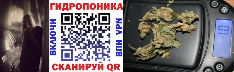 hydra сайт  Ижевск  Бошки Шишки индика 